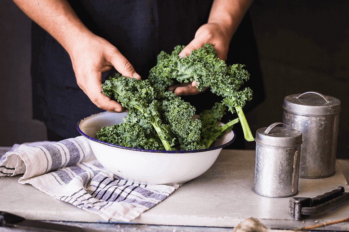 Vitality Wellness